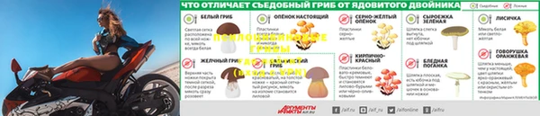 дурь Медногорск