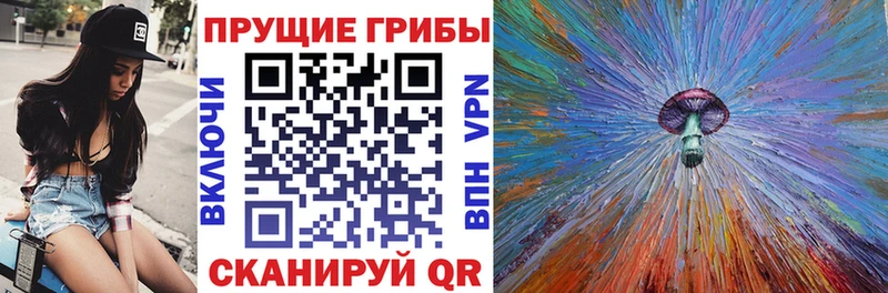 Галлюциногенные грибы Psilocybine cubensis  Чайковский 