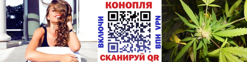 Конопля индика Чайковский